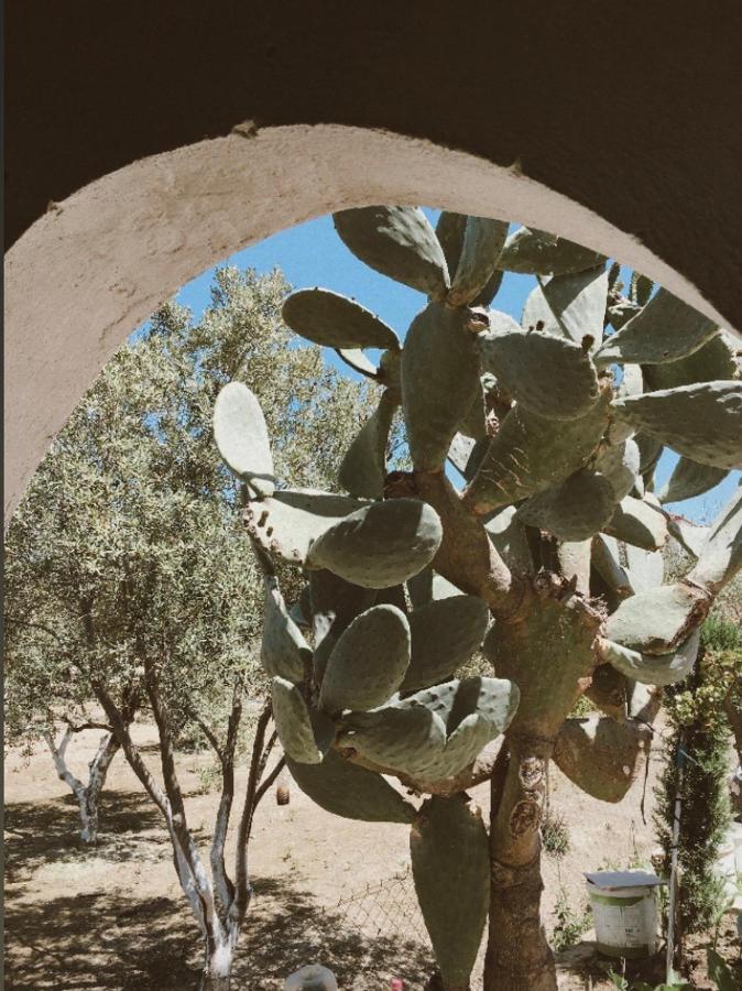 Wabi Sabi Daire Katastárion Dış mekan fotoğraf