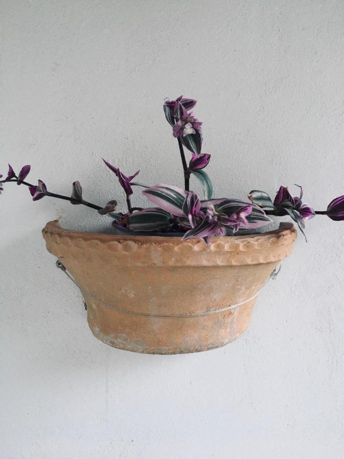Wabi Sabi Daire Katastárion Dış mekan fotoğraf