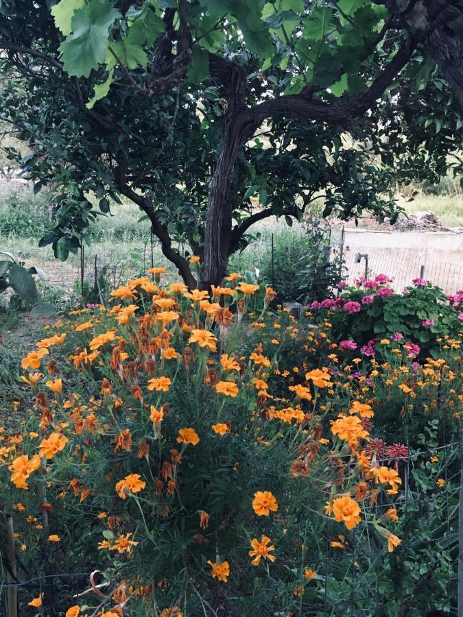 Wabi Sabi Daire Katastárion Dış mekan fotoğraf